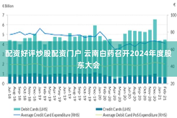配资好评炒股配资门户 云南白药召开2024年度股东大会
