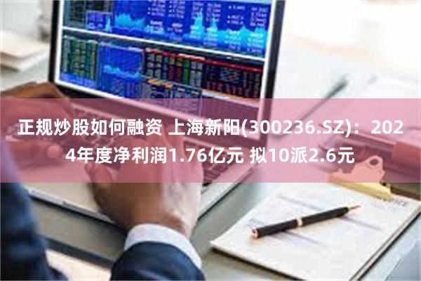 正规炒股如何融资 上海新阳(300236.SZ)：2024年度净利润1.76亿元 拟10派2.6元