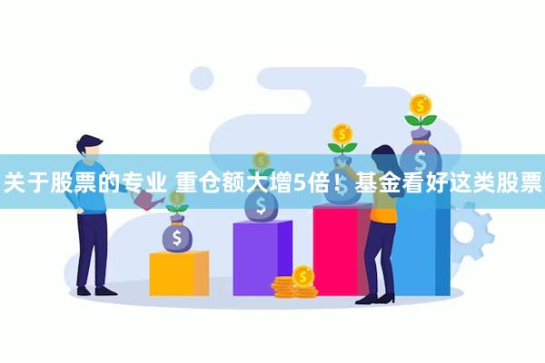 关于股票的专业 重仓额大增5倍！基金看好这类股票