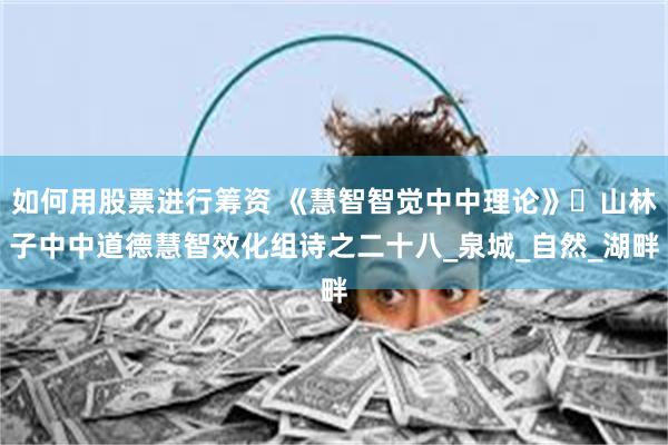 如何用股票进行筹资 《慧智智觉中中理论》​山林子中中道德慧智效化组诗之二十八_泉城_自然_湖畔