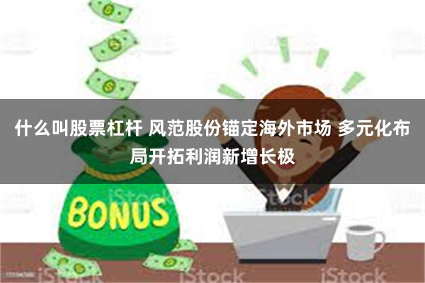 什么叫股票杠杆 风范股份锚定海外市场 多元化布局开拓利润新增长极