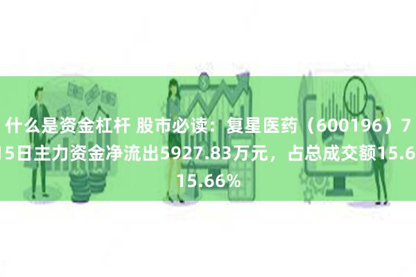 什么是资金杠杆 股市必读：复星医药（600196）7月15日主力资金净流出5927.83万元，占总成交额15.66%