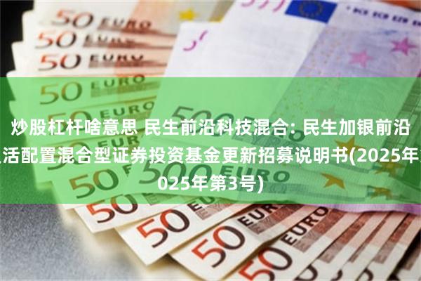 炒股杠杆啥意思 民生前沿科技混合: 民生加银前沿科技灵活配置混合型证券投资基金更新招募说明书(2025年第3号)