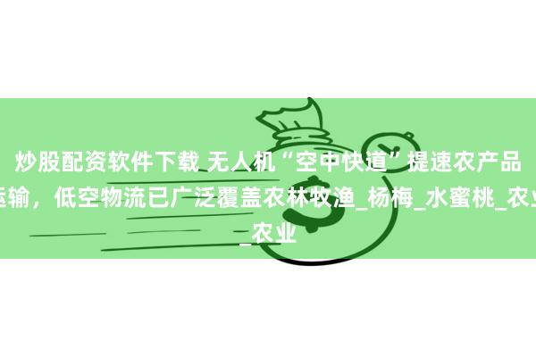 炒股配资软件下载 无人机“空中快道”提速农产品运输，低空物流已广泛覆盖农林牧渔_杨梅_水蜜桃_农业