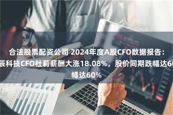 合法股票配资公司 2024年度A股CFO数据报告：索辰科技CFO杜莉薪酬大涨18.08%，股价同期跌幅达60%
